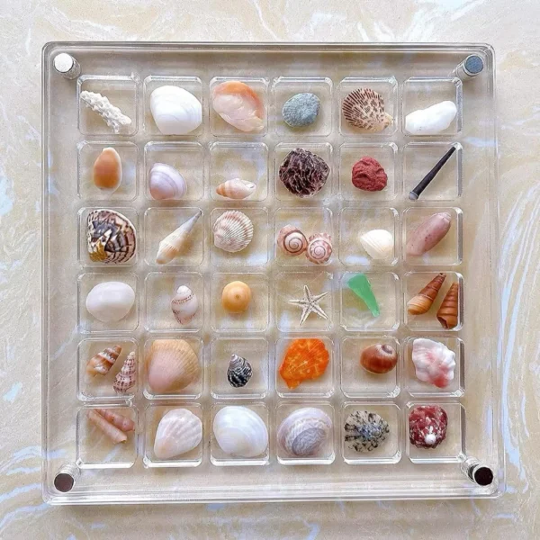 Clear Acrylic Magnetic Seashell Display Box Seashell Storage Box Nail Cases Container Organizers Container Stackable Display
